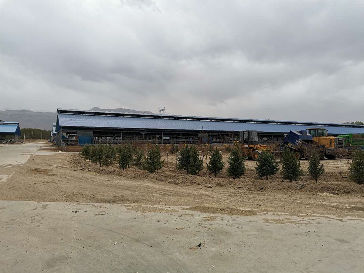 山阴县驿泽奶牛专业合作社精准饲喂系统成功运行(图2) 山阴县驿泽奶牛专业合作社精准饲喂系统成功运行(图2)